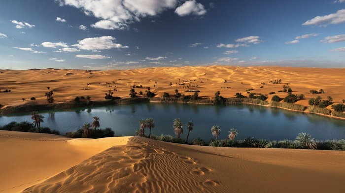 landscape, desert, oases