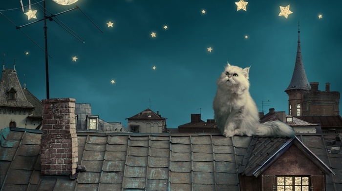 fantasy art, stars, night, cat, rooftops, moon, persian cat