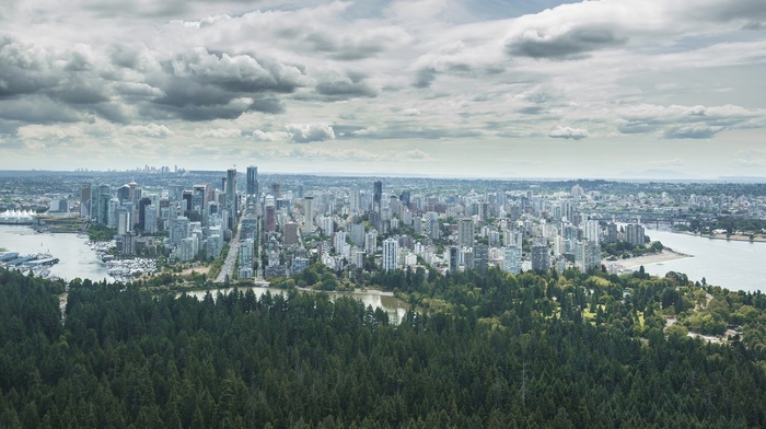 clouds, cityscape, city, trees, forest