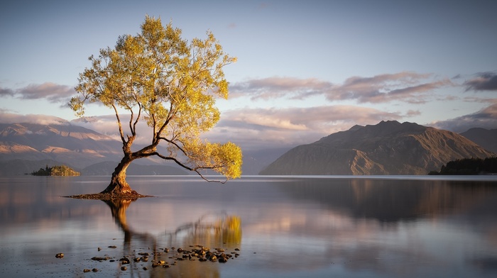 trees, mountain, nature, water, sunrise, clouds, lake, reflection, landscape