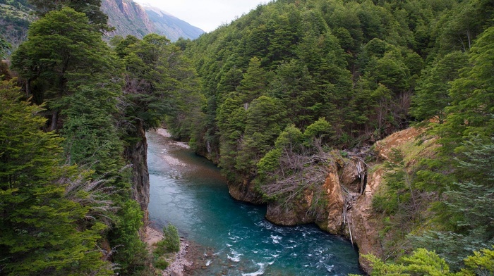 water, green, Chile, river, trees, landscape, nature, turquoise, mountain, forest
