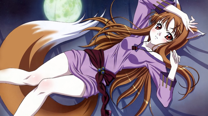 wolf girls, anime girls, anime, Spice and Wolf, Holo