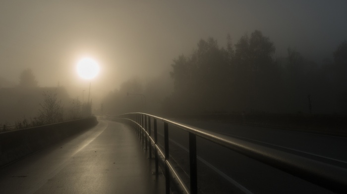 highway, walkway, sunrise, fence, dark, mist, trees, landscape, nature
