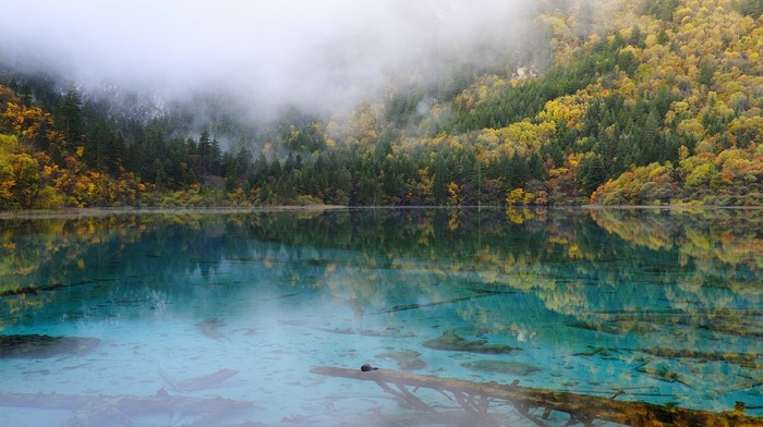 reflection, trees, mountain, turquoise, nature, water, fall, lake, China, forest, landscape, mist
