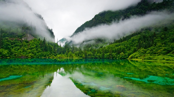 lake, China, Five Colored Lake, Jiuzhaigou Nature Reserve, landscape, clouds, mountain, trees, clear water