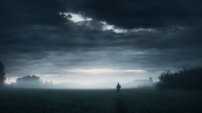 grass, rain, dark, horizon, sky