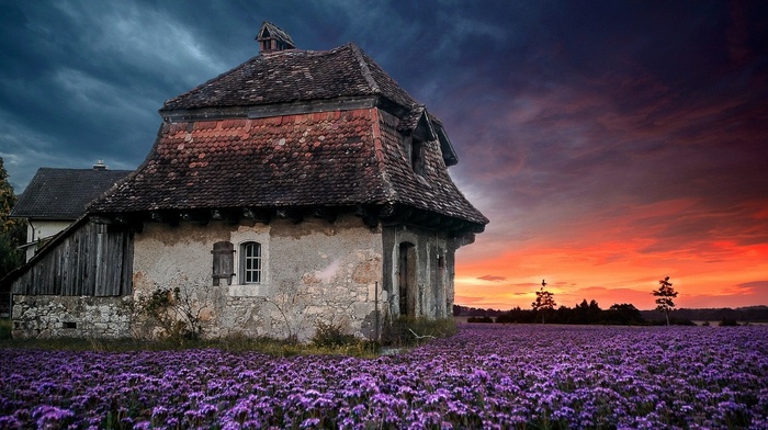farm, flowers, sunset, old, clouds, spring, field, landscape, lavender, sky, house, purple, nature