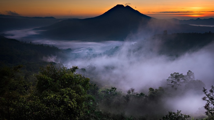 nature, mountain, forest, volcano, mist, valley, Bali, Indonesia, landscape, sunrise