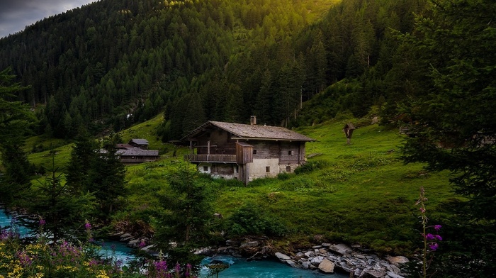 water, forest, sunrise, spring, turquoise, cottage, trees, landscape, mountain, wildflowers, Alps, green, nature, river, Austria