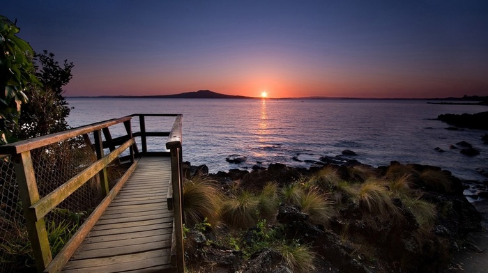 walkway, shrubs, coast, water, sunset, nature, sea, island, landscape, New Zealand