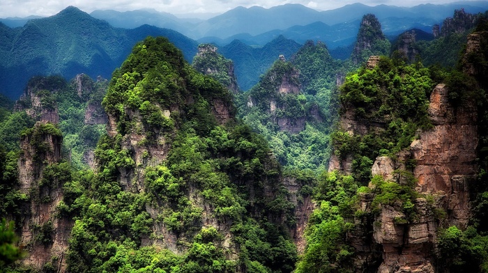 China, nature, forest, Avatar, trees, mountain, clouds, landscape
