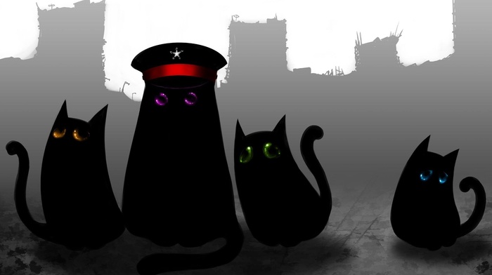 romantically apocalyptic, black cats, cat, eyes, gray, animals