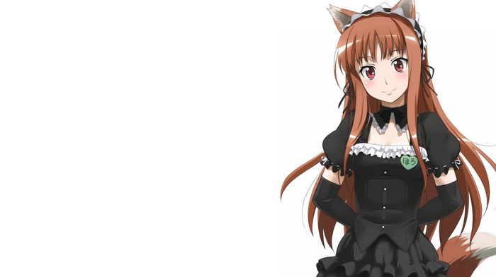wolf girls, Holo, anime, Spice and Wolf, anime girls