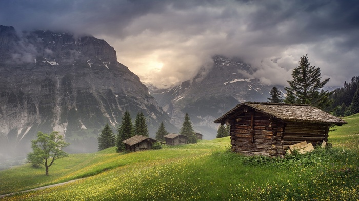 sunrise, grass, hut, clouds, nature, Switzerland, mountain, landscape, trees, mist
