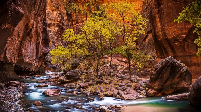erosion, HDR, trees, rock, pebbles, stream, nature, river, Utah, landscape, red, valley, national park, stones, USA, canyon, Zion National Park