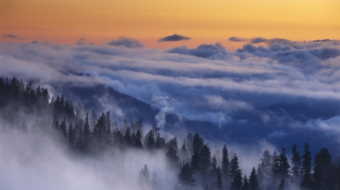 Yosemite National Park, landscape, nature, clouds, morning, mountain, trees, forest, sunrise, mist