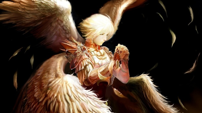 wings, angel