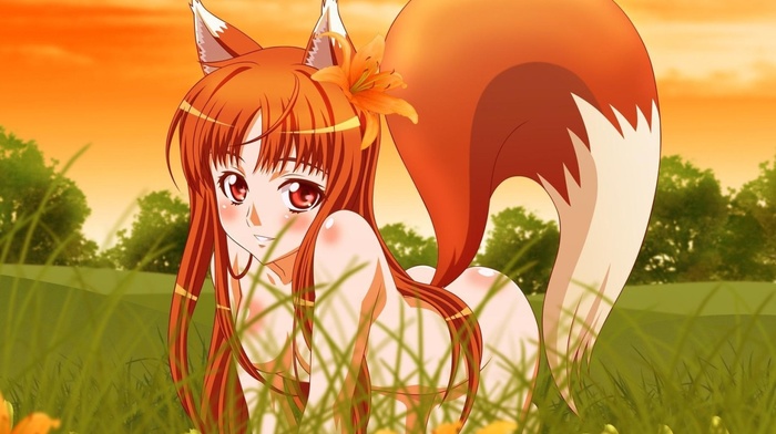 nude, anime girls, anime, wolf girls, Holo, Spice and Wolf