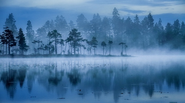 water, landscape, nature, blue, mist, lake, sunrise, Finland, trees