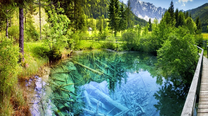 snowy peak, shrubs, landscape, walkway, pond, turquoise, fence, colorful, Austria, trees, mountain, nature, Europe, reflection, water, summer, forest