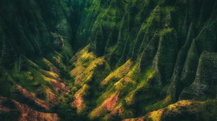 island, nature, valley, shrubs, cliff, landscape, Kauai, Hawaii, mountain