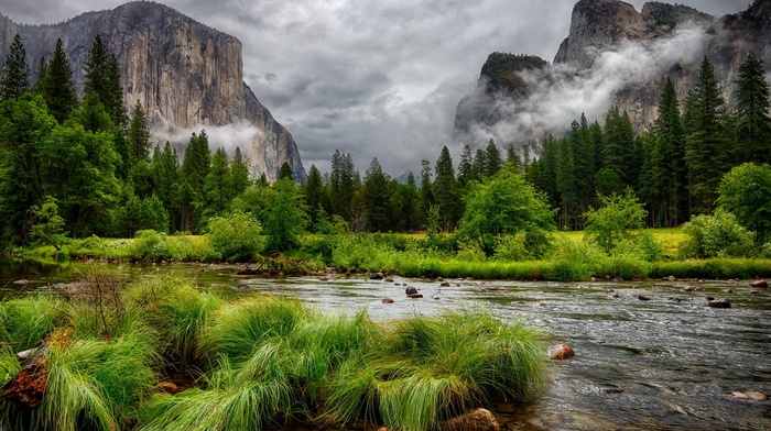 trees, grass, nature, cliff, pine trees, landscape, overcast, HDR, clouds, forest, water, mountain, river