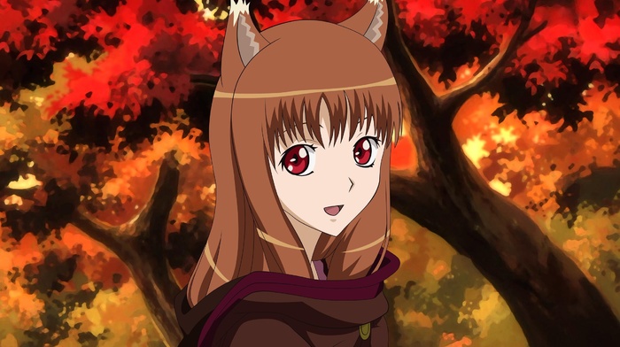Holo, wolf girls, anime girls, anime, Spice and Wolf