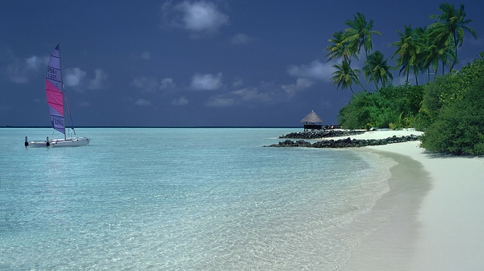 palm trees, nature, summer, catamaran, island, sand, shrubs, sea, tropical, landscape, beach