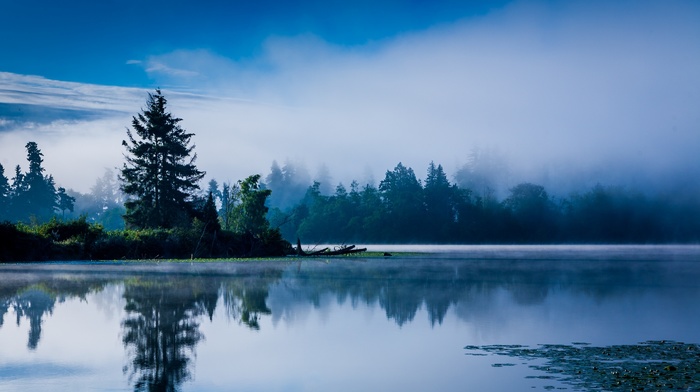 blue, mist, Washington state, reflection, landscape, sunrise, forest, morning, nature, lake, water, trees