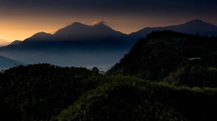 forest, mist, morning, calm, mountain, sunrise, Taiwan, landscape, nature