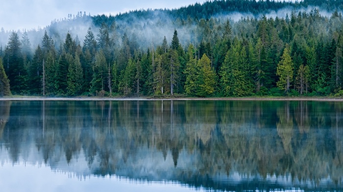 hill, blue, landscape, water, nature, reflection, trees, forest, green, sunrise, lake, mist