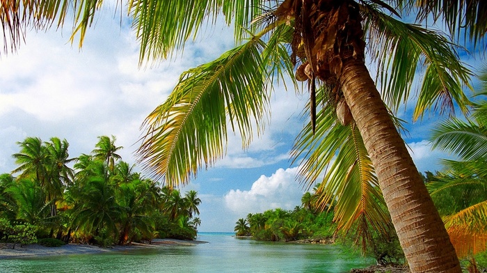 nature, summer, tropical, landscape, clouds, sea, beach, Vacations, French Polynesia, palm trees, island