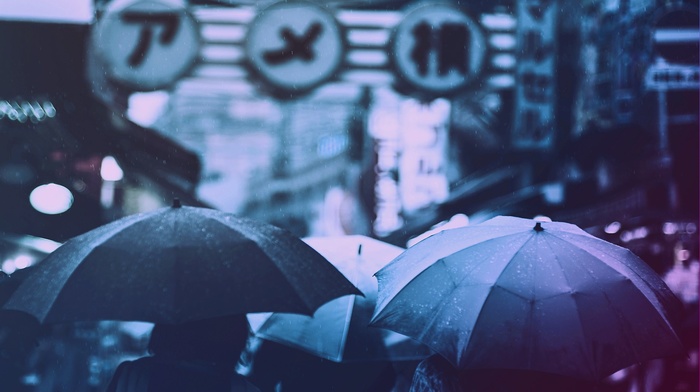 filter, Japanese umbrella, rain, umbrella, photography