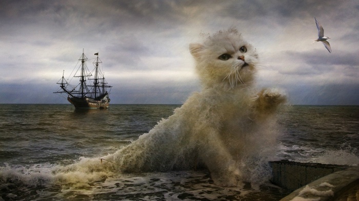 fantasy art, ship, cat, digital art