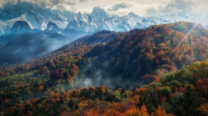 mountain, forest, mist, fall, sun rays, snowy peak, Alps, trees, nature, clouds, landscape, morning