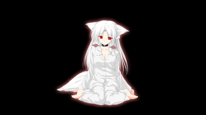 red eyes, nekomimi, white