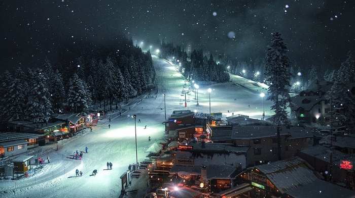 night, forest, landscape, village, lights, snow, cold, nature