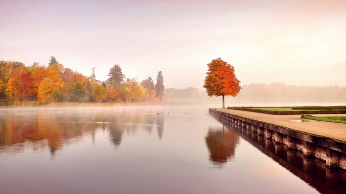 water, pier, landscape, trees, reflection, forest, lake, mist, nature, fall, calm