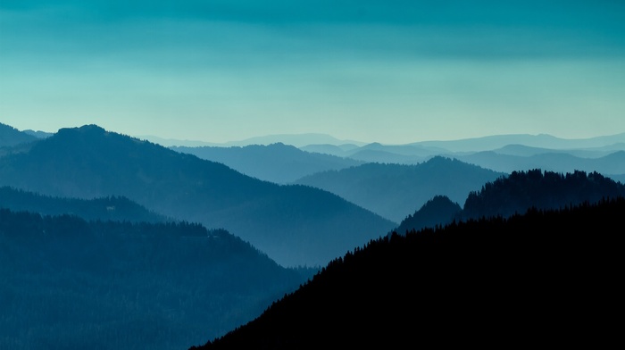 horizon, evening, hill, forest, valley, nature, landscape, blue, sky, silhouette