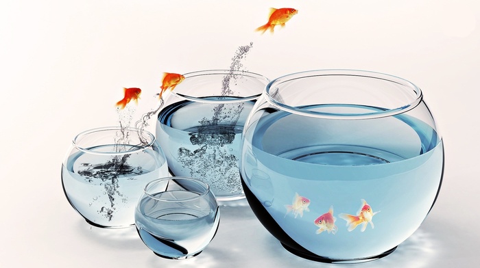 goldfish, water, digital art, fish, aquarium