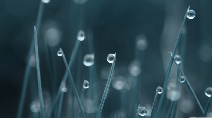 rain, digital art, grass, dew