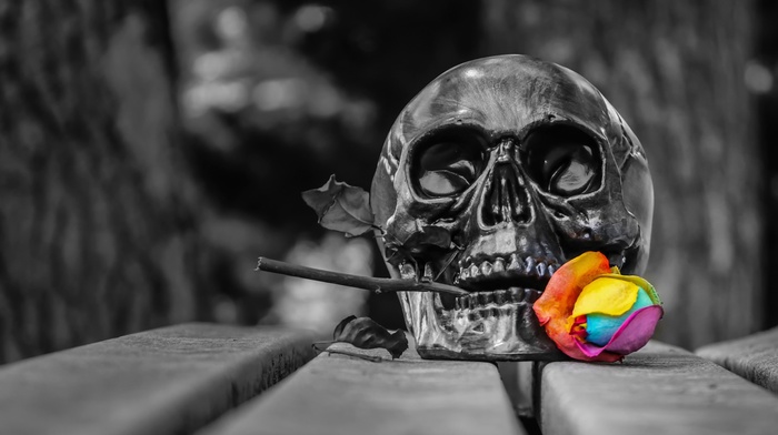 spooky, skull, selective coloring, death, Gothic