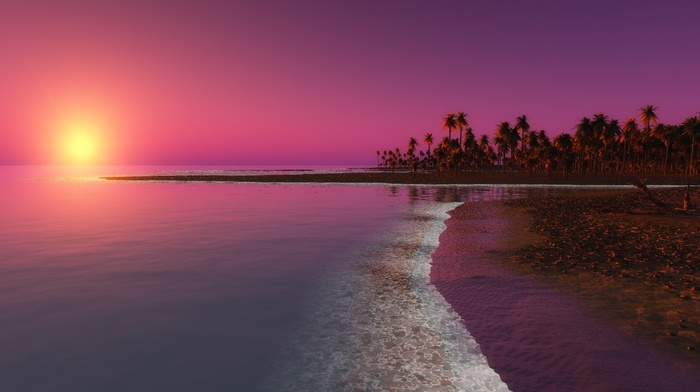 water, sunlight, evening, beach, palm trees