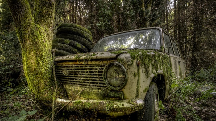 leaves, branch, old car, wreck, trees, nature, forest, Russian cars, moss, car, HDR, LADA, rust, tyres