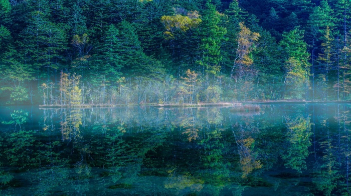 sunrise, green, nature, morning, lake, trees, water, reflection, mist, Japan, landscape