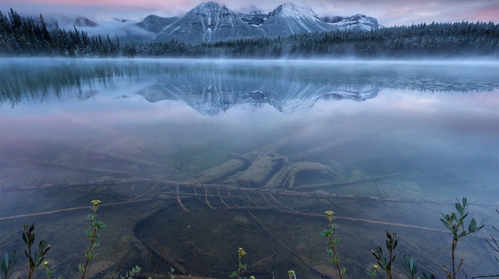 reflection, banff national park, mountain, sunset, nature, lake, sky, forest, Canada, blue, landscape, mist, water, shrubs, snow