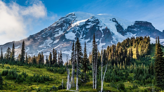 nature, landscape, clouds, snowy peak, HDR, trees, Washington state, USA, pine trees, mountain, forest, grass, Mount Rainier