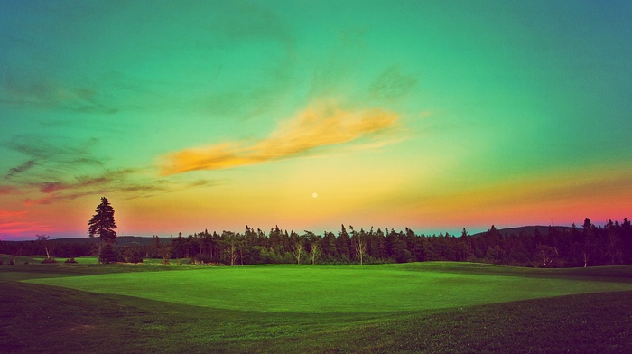golf, landscape, green