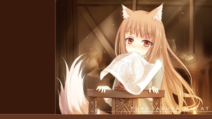 anime, Holo, Spice and Wolf, anime girls