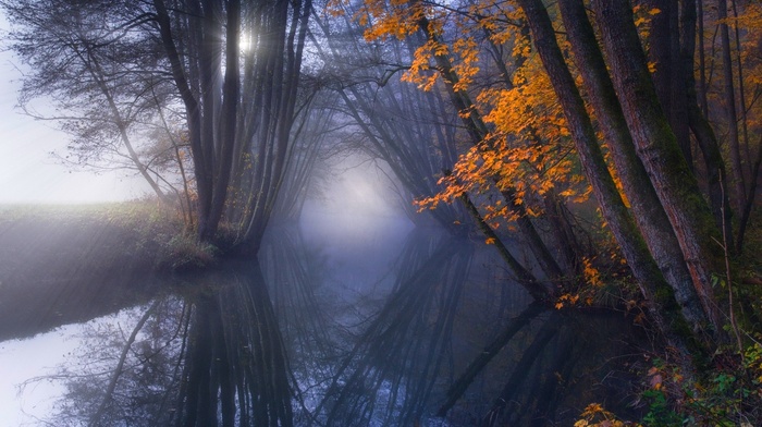 water, river, trees, sun rays, mist, reflection, calm, landscape, sunrise, shrubs, forest, fall, nature